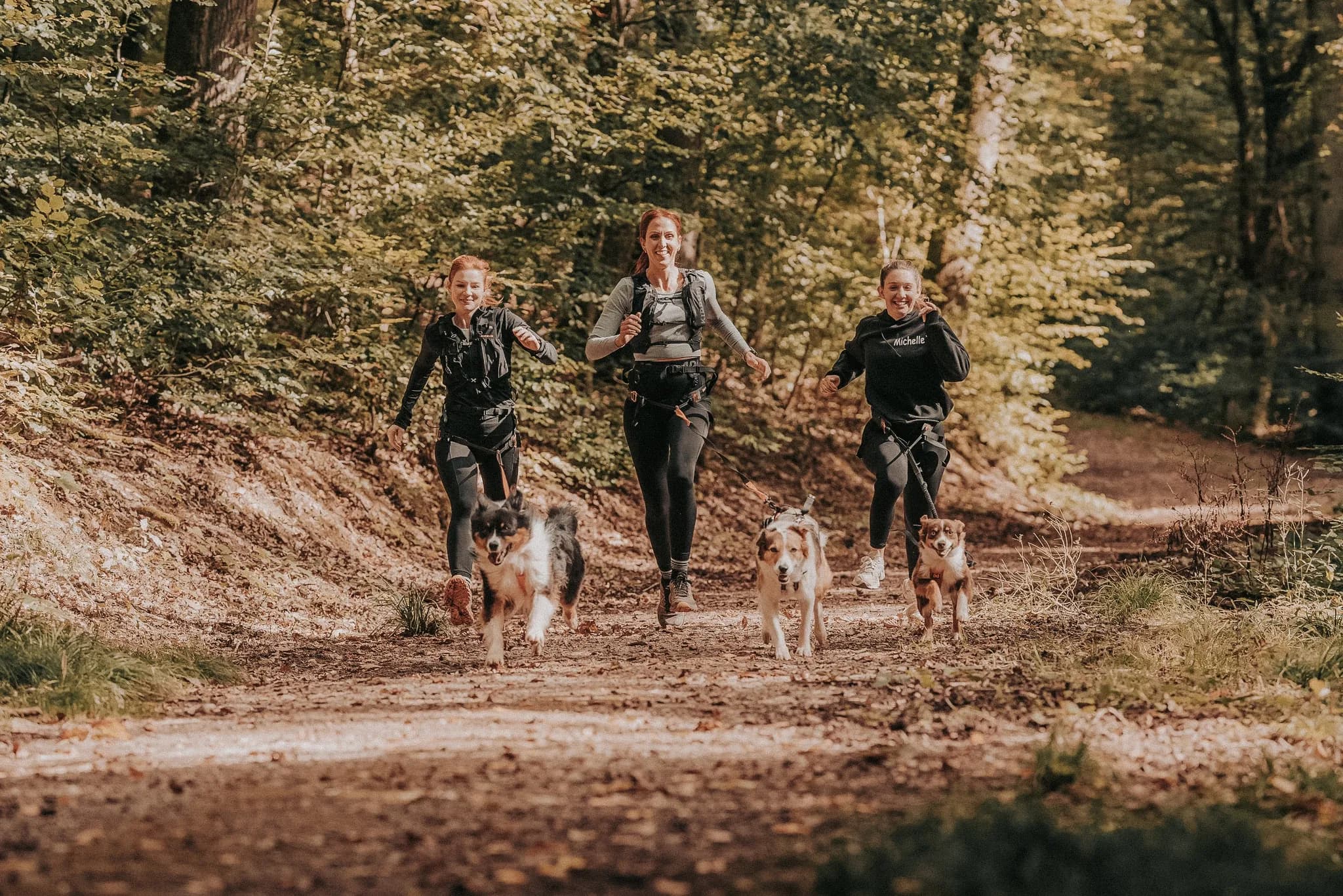 Drei Mensch-Hund-Teams laufen beim Canicross über einen Waldweg