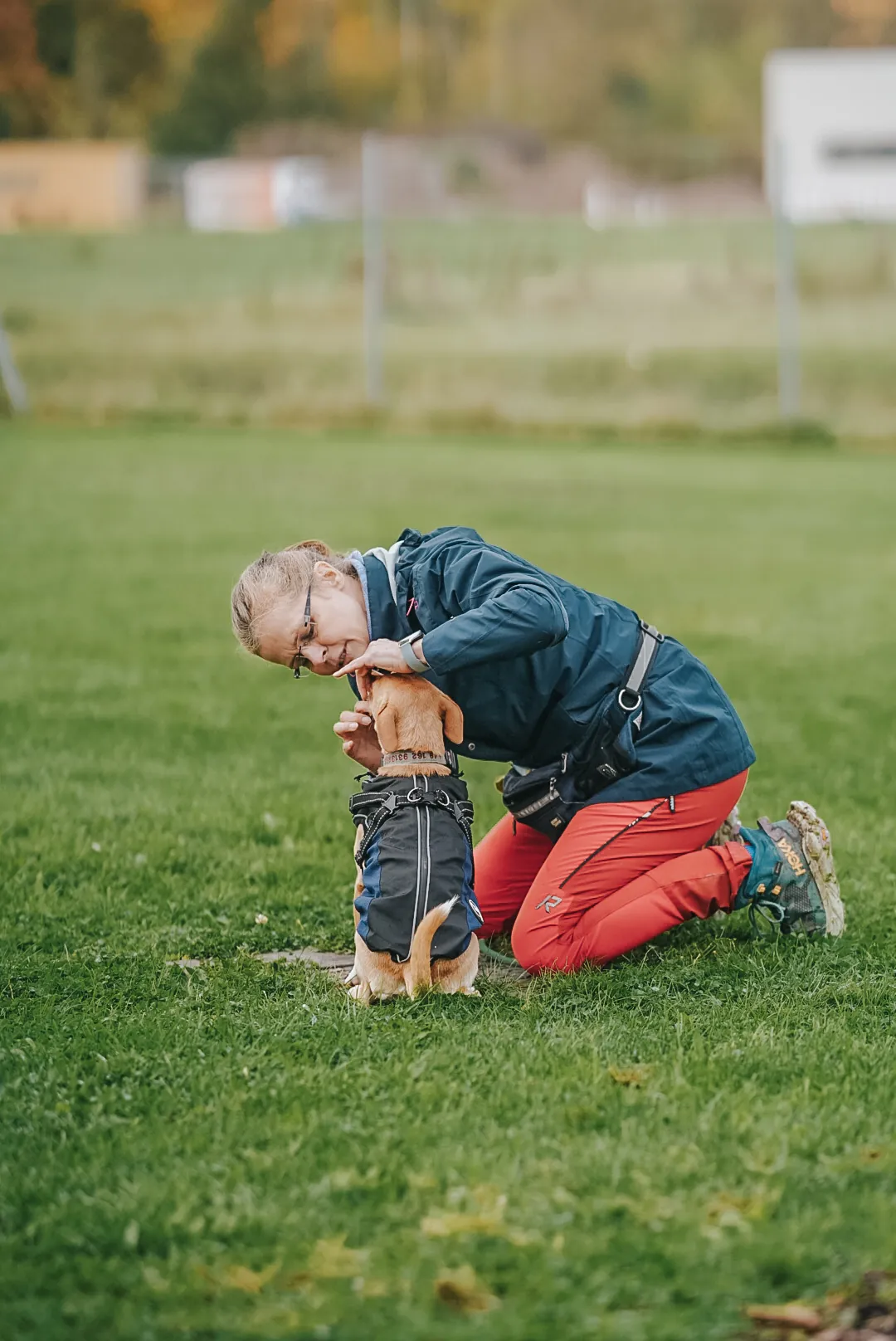 Trainerin kniet im Gras und arbeitet Kopf an Kopf mit einem jungen Hund