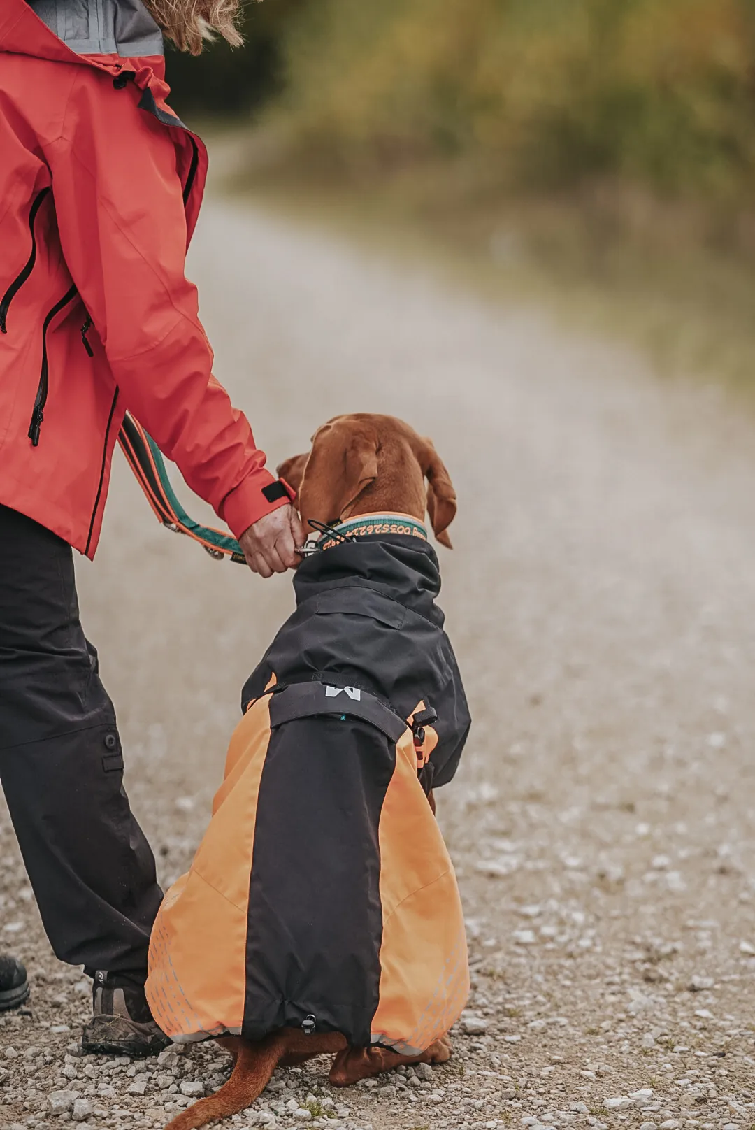 Hund im Regenmantel sitzt dicht bei seiner Halterin, die ihn am Halsband führt
