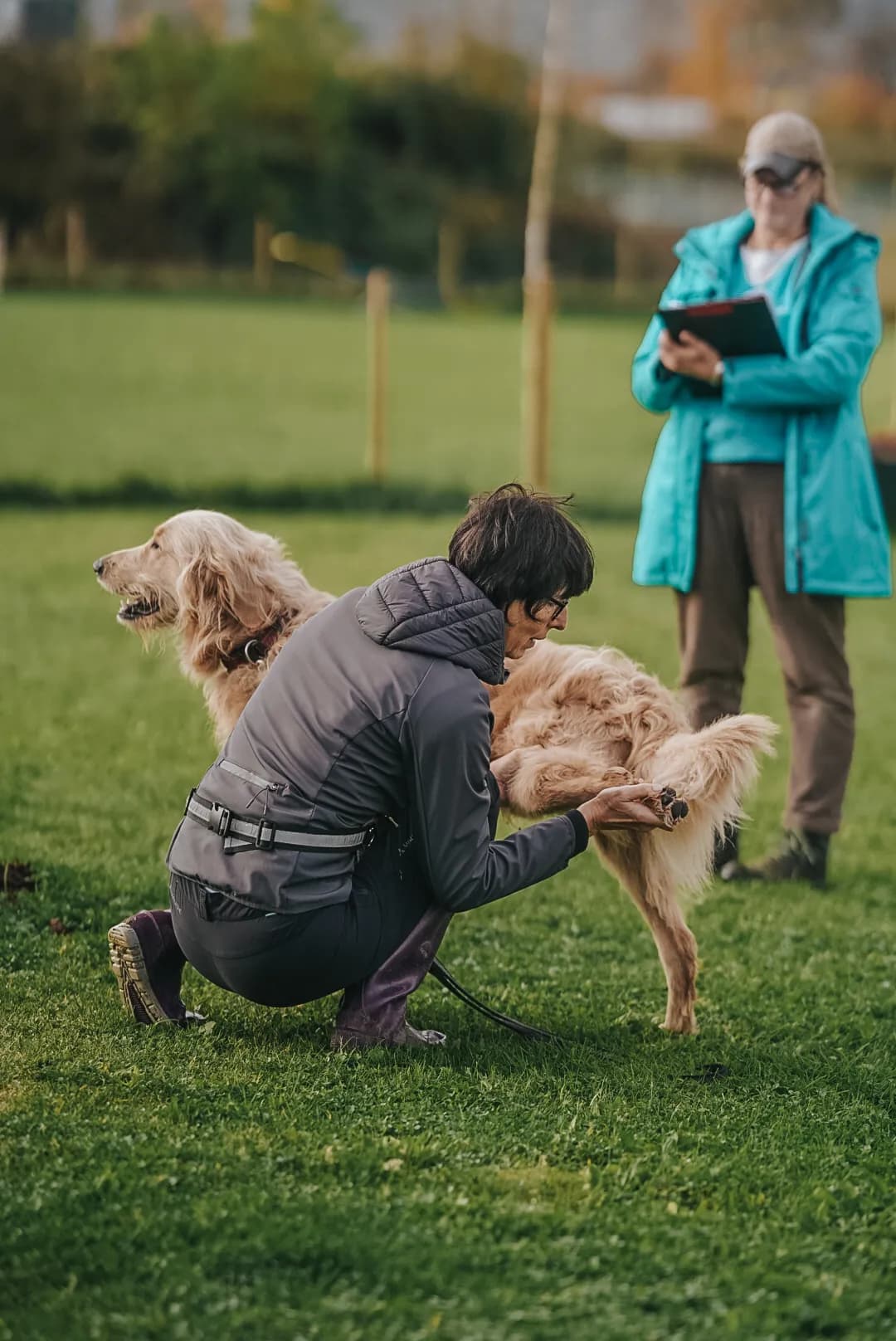 Hundehalterin arbeitet auf der Wiese konzentriert mit ihrem Hund, eine Trainerin beobachtet mit Klemmbrett