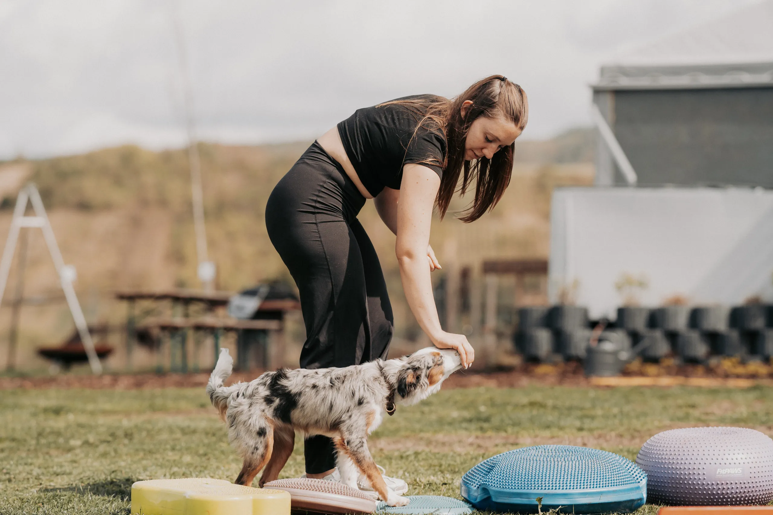 Trainerin führt einen Hund über ein Balance-Board