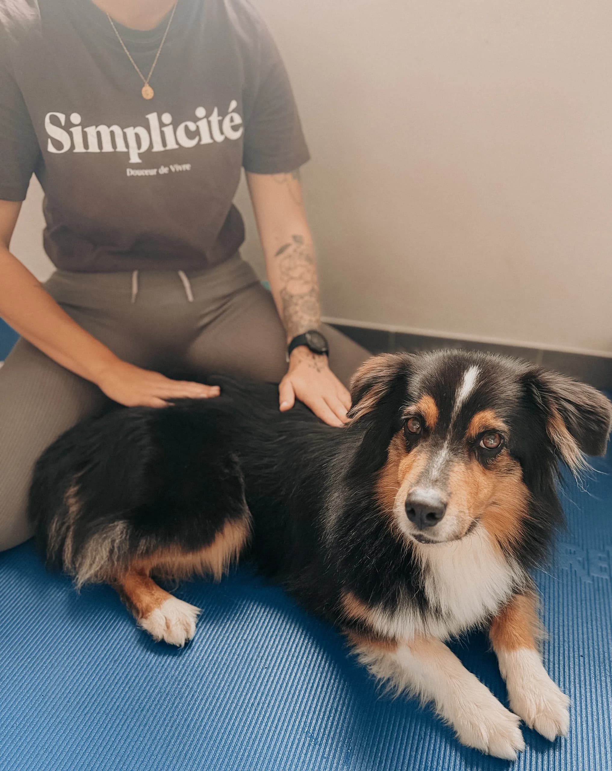 Therapeutin kniet neben einem entspannt liegenden Australian Shepherd auf der blauen Behandlungsmatte